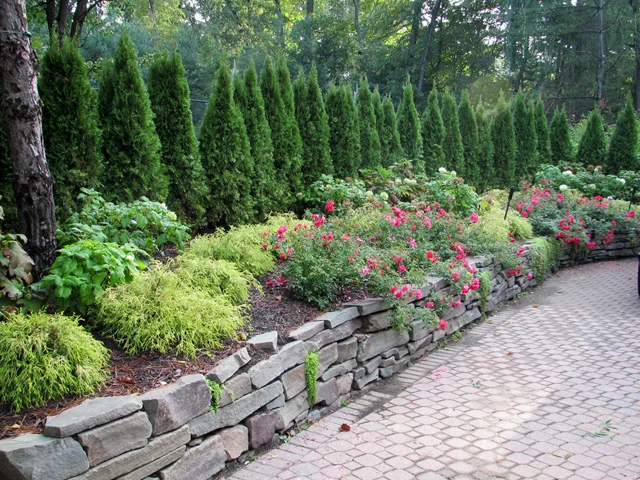 All types of Plantings- Annual and Perennial