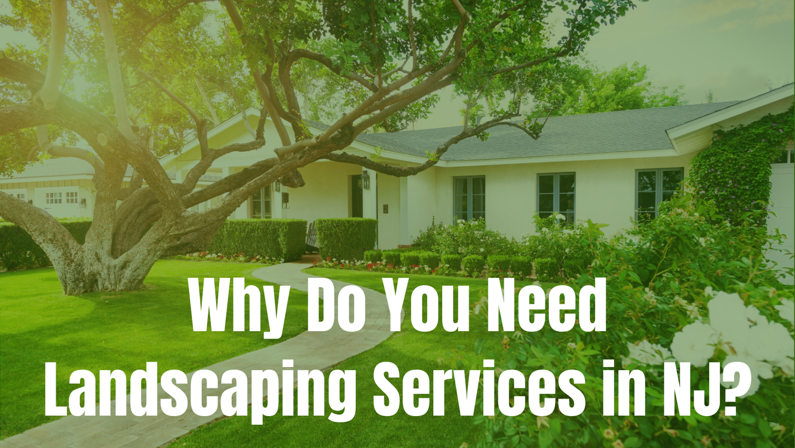 Why Do You Need Landscaping Services in NJ