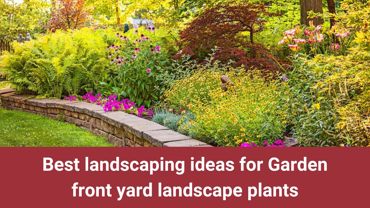 Best landscaping ideas for Garden front yard landscape plants