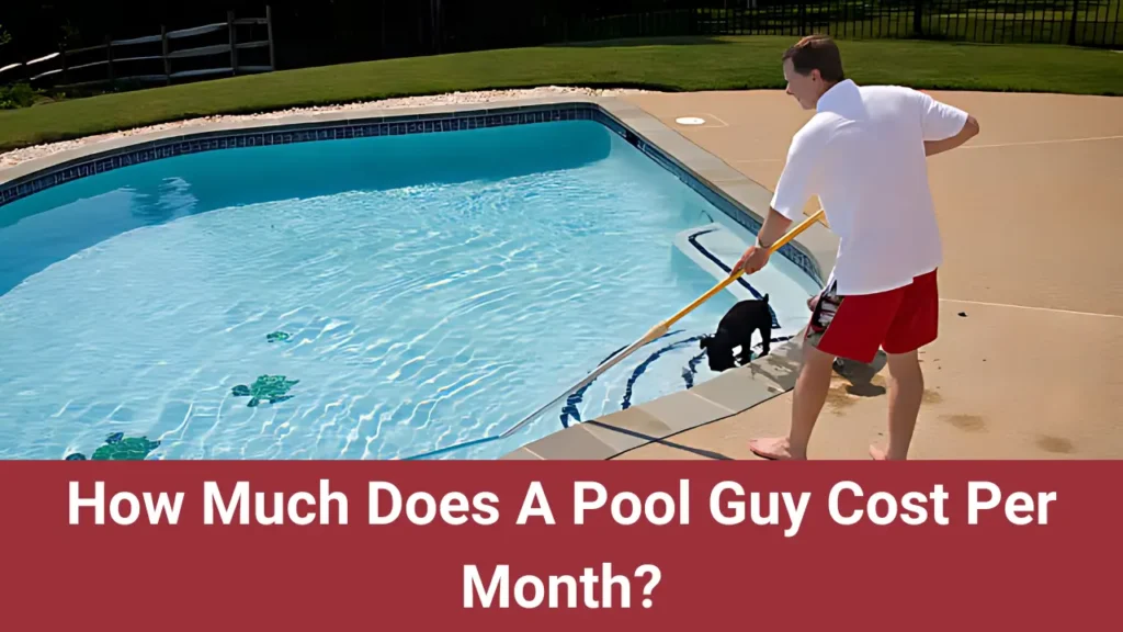 Pool Guy Cost Per Month